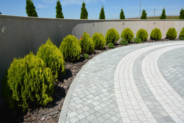 Reasons to Select Us for Your Driveway Paving Requirements in Park Ridge, NJ